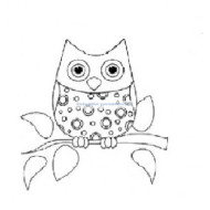 Night owl
