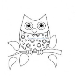 Night owl